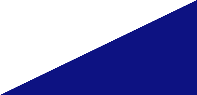 Shape 2