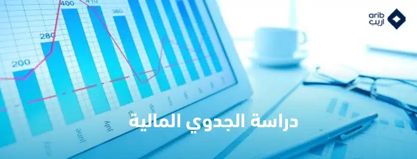 دراسة الجدوى المالية